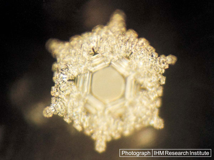 Den vackraste vattenkristall som Dr Emoto kunde upptäcka bildades vid en kombination av orden "Kärlek och Tacksamhet"